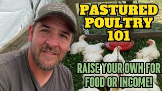 Raising Pastured Poultry Broilers the RIGHT way A Comprehensive 101 Guide [upl. by Koerlin]