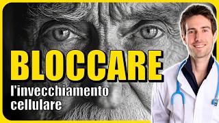 Il MECCANISMO per fermare lINVECCHIAMENTO con Prof Marco Demaria [upl. by Finstad579]