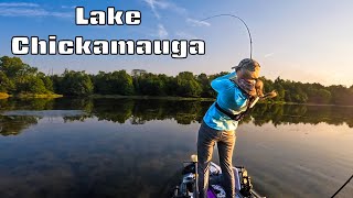 Spontaneous Tournament Fishing On Chickamauga Gone Wrong [upl. by Wieren]