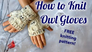 How to Knit Fingerless Owl Gloves or Mitts  FREE Knitting Pattern  Learn to Knit knitting knit [upl. by Lacie666]