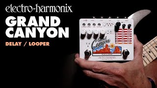 ElectroHarmonix Grand Canyon Delay  Looper Pedal Demo by Bill Ruppert [upl. by Jestude]