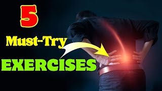 5 Quick and Easy Exercises for a Stronger Lower Back NO MORE PAIN [upl. by Leahci]