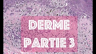 LE DERME partie 3  HISTOLOGIE [upl. by Jaquelyn79]