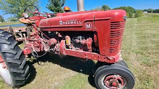 Farmall M Mowing with a New Idea 290 Haybine [upl. by Ennylhsa]