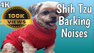 BEST Funny Dogs Barking to Make Your Shih Tzu LAUGH [upl. by Aisats]