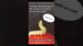 YouTube offiziell gesperrt [upl. by Aneg357]