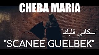 Cheba Maria  Scanee Guelbek EXCLUSIVE Music Video  الشابة ماريا  سكاني قلبك حصرياً [upl. by Aliab]