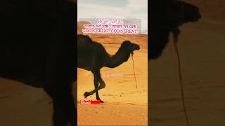 Azan the best sound In the world from Bangladesh azan islamicprayer payer bangladesh quran [upl. by Adrien]