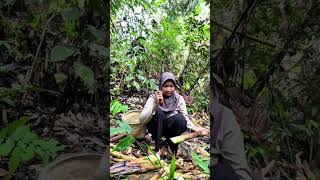 kegiatan di kebun minivlog adventure vlogadayinmylife [upl. by Alidus421]