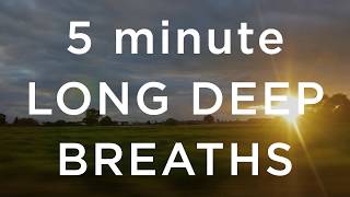 5 Minute Long Deep Breaths [upl. by Macintosh]