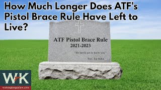 How Much Long Does ATFs Pistol Brace Rule Have Left to Live [upl. by Otreblasiul]