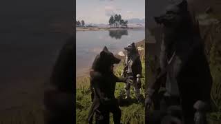 Red Dead Online Kurt Şarkısı shorts [upl. by Aerdnak]