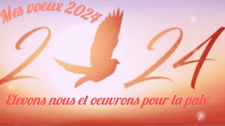 Mes meilleurs voeux pour 2024 [upl. by Kare]