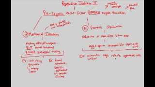 Macroevolution  Repro Isolation II  BIALIGYcom [upl. by Adda]