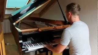 Evanescence  My Immortal Benedikt Waldheuer Piano Cover [upl. by Nalyr345]