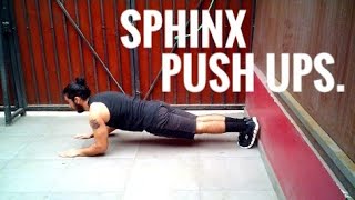 Sphinx push ups Flexiones esfinge calistenia [upl. by Notserc]