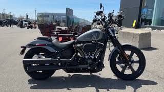 2024 HarleyDavidson Softail Street Bob [upl. by Caron]