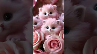 Cute cats 😻 cutebabycatscutecutecatshortsviralcatsloversshortsfeedshortsyoutubeanimalshorts [upl. by Hax]