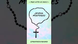 Todays Daily Rosary JOYFUL MYSTERIES Monday Rosary 🌹 JULY 24 2023 🌹 [upl. by Frame]