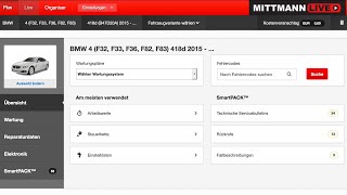 MittmannLive Workshopdata HaynesPro 📊 Erhalte Zugriff auf neuen umfangreiche SoftwareDatenbank [upl. by Patnode]