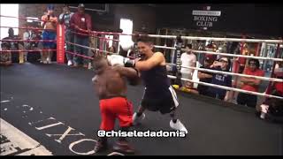 Midget vs Dwarf Boxing  Mini DaBaby Tyson vs Human Tetris Long Limb Thomas [upl. by Ettezel]