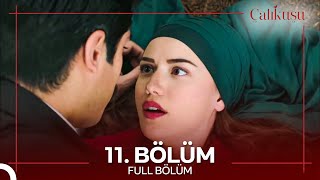 Çalıkuşu 11 Bölüm [upl. by Tohcnarf400]