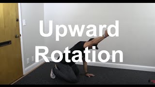 Shoulder blade upward rotation serratus ant lower traps [upl. by Clea]