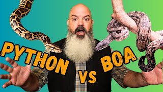 Python vs Boa What Should You Get [upl. by Mathur530]