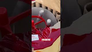 Firework fireworks christmas pyrotechnics funny 4thofjuly shorts trending viralvideo [upl. by Currier]