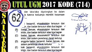 pembahasan soal UTUL UM UGM 2017 Saintek kode 714 biologi no 62 kesamaan insekta dan laba la [upl. by Eltsryk]