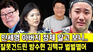 안세영 알고보니 금수저 아빠정체 잘못건드린 방수현 김택규 벌벌떨어 [upl. by Petes]