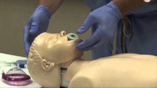 Airway Management [upl. by Munn]