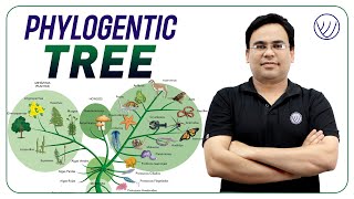 Phylogentic Tree Part II  Evolution  CSIR UGC NET LIFESCIENCE  NILESH SONI [upl. by Therine]