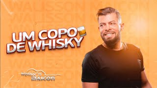 Um Copo de Whisky  Walisson Maicon [upl. by Eeniffar]