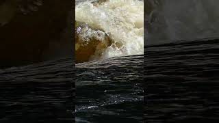 Lower Madawaska Scare canoecamping whitewater adventure camping backcountry rapids [upl. by Winer]