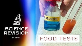 Food Tests  GCSE Science Required Practical [upl. by Caswell]