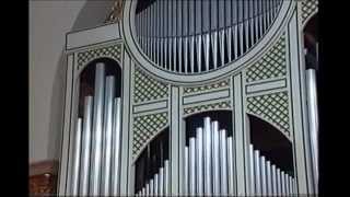 Louis Vierne Toccata Előadja Lozsányi Tamás  2001 [upl. by Eltsyrk]