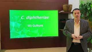 12 26 Corynebacterium diphtheriae Morphology and Culture [upl. by Cesare834]