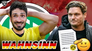 HUMMELSHAMMER beim DFB BVB holt NEUZUGANG  KickNews [upl. by Wilbert92]