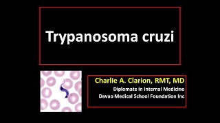 Trypanosoma cruzi [upl. by Nive84]