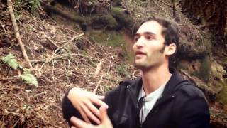 Return to Awe Jason Silva  Melodysheep [upl. by Jake694]