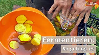 Fermentieren Gemüse mit Hilfe von MilchsäureBakterien haltbar machen  MDR Garten [upl. by Yenwat]