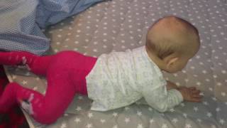 Baby Emma 8 Monate lernt krabbeln [upl. by Christianna]