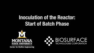 Chapter 14 Inoculation of the Reactor [upl. by Mintz]