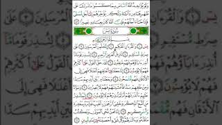 Surah e yaseen  fast version  Surat e yasin  Dawoodi Bohra [upl. by Havard]