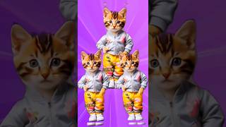 Super cat dance viralvideo catdance [upl. by Aihtnyc]