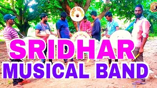 Raave RajahamsalaMuddula MoguduSridhar Musical BandMusical instrumental [upl. by Atnomed]