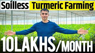 1 acre से 1 crore Soilless Turmeric Farming Profits Explained  Agritalk By Abhinav Roy [upl. by Euqinue]