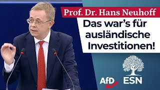 Das war’s für ausländische Investitionen  Prof Dr Hans Neuhoff AfD [upl. by Alliuqal]