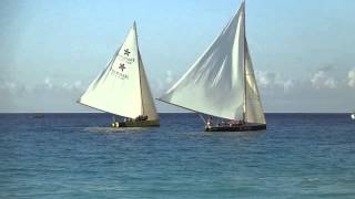 Anguilla Boatracing Solaire  Meads Bay March 24 2013  De Wizard amp De Tree [upl. by Dachi]